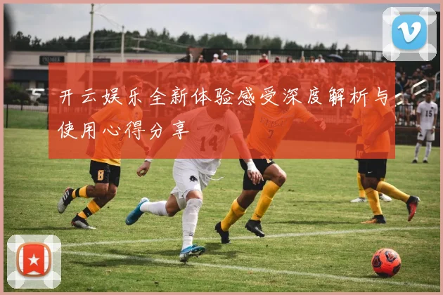 开云娱乐全新体验感受深度解析与使用心得分享