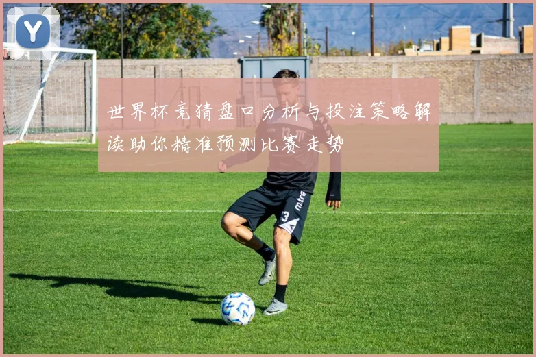 世界杯竞猜盘口分析与投注策略解读助你精准预测比赛走势