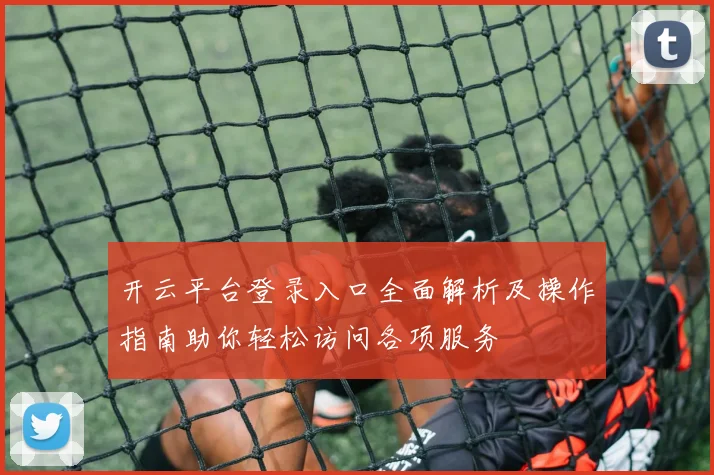 开云平台登录入口全面解析及操作指南助你轻松访问各项服务