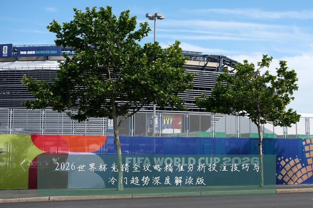 2026世界杯竞猜全攻略精准分析投注技巧与冷门趋势深度解读版